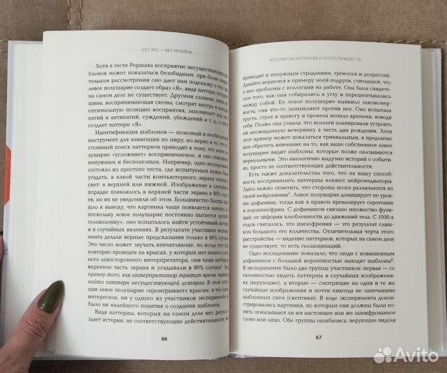 Крис Нибауэр Нет Эго, нет проблем