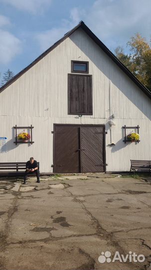 Постой лошадей под прокат