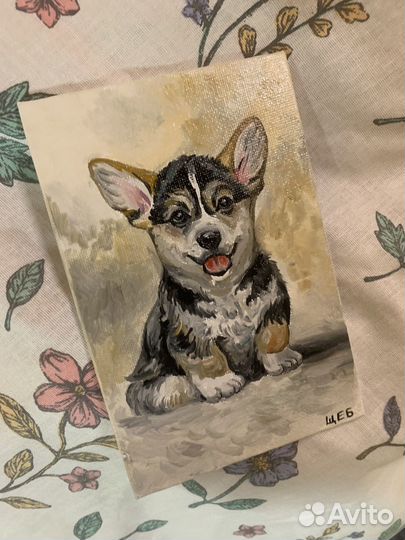 Картина Маленький щенок корги