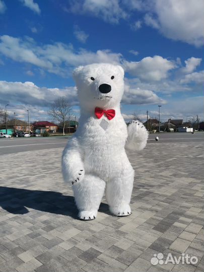 Большой белый мишка и Чебурашка