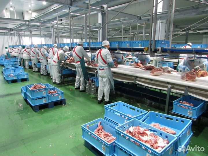 Разнорабочие на мясокомбинат,вахта с ежедневнойзп