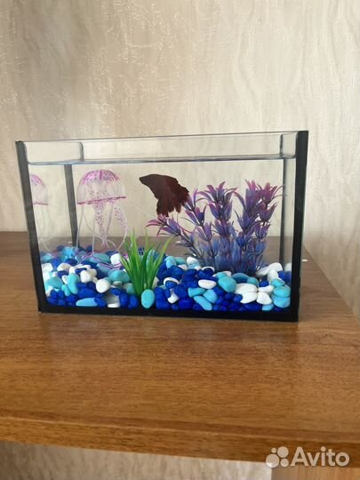 Аквариум