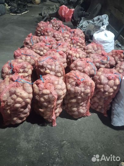 Продам картофель со своего огорода