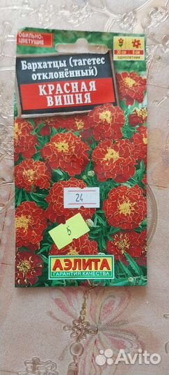 Рассада помидор, перцев и цветов