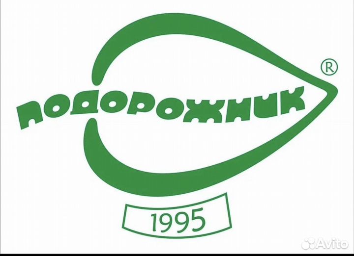Продавец в продуктовый магазин