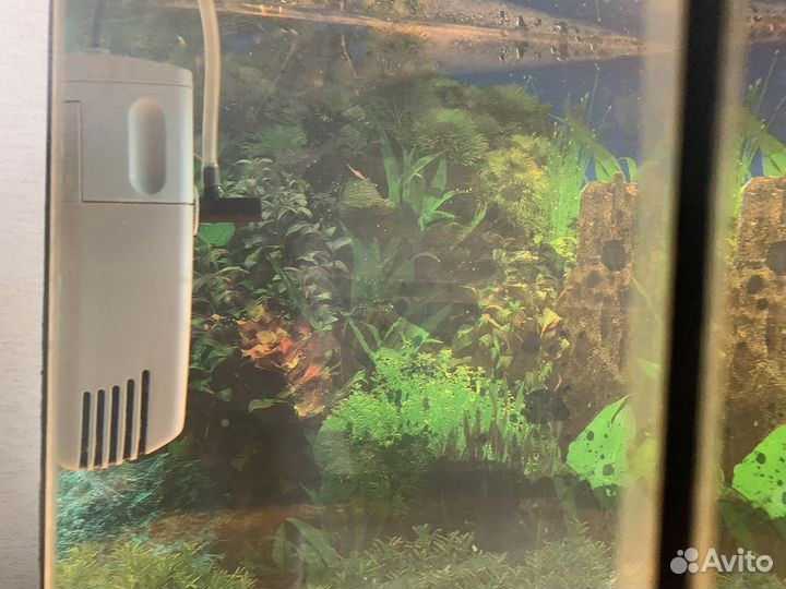 Аквариум 45 литров