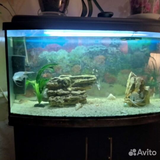 Аквариум с тумбой