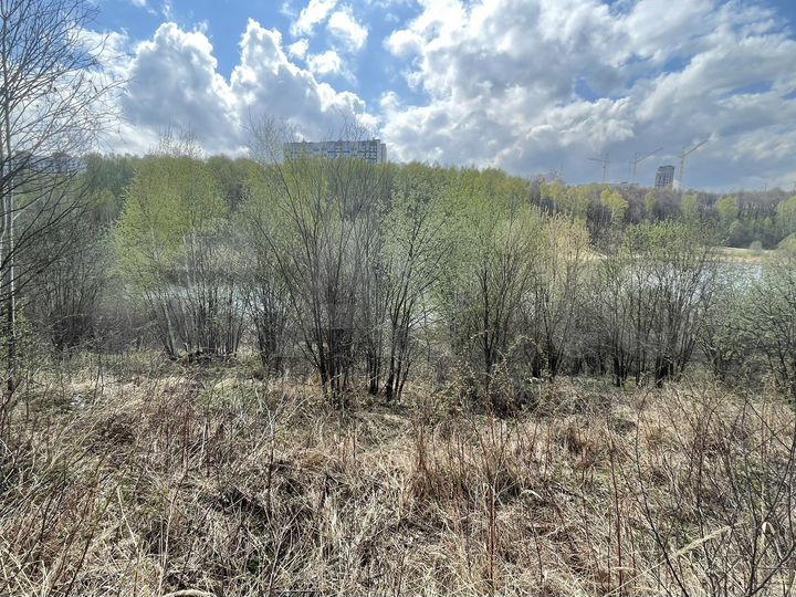 Участок 8 сот. (СНТ, ДНП)