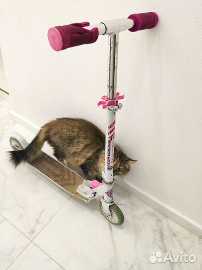 Самокат детский двухколесный Спортмастер