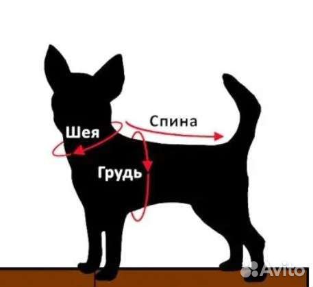 Жилетка для маленьких собак
