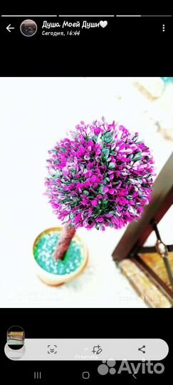 Мост и цветы