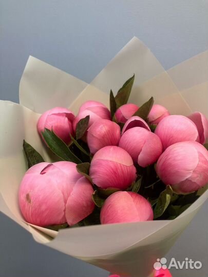 Цветы букеты с доставкой розы 51 роза