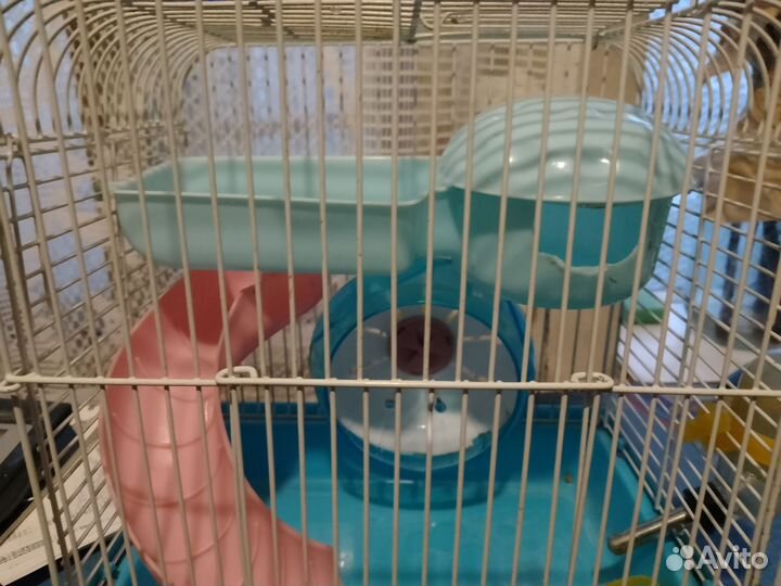 Клетка для грызунов бу