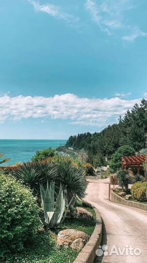 Тур по Сочи «обзорная по Сочи»