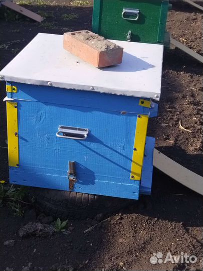 Пчелы и улья