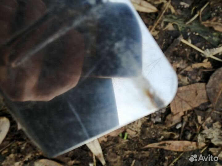 Накладка на задний бампер логотип Focus