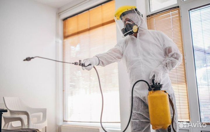 Средство для Уничтожения клопов Дезинсекции тараканов