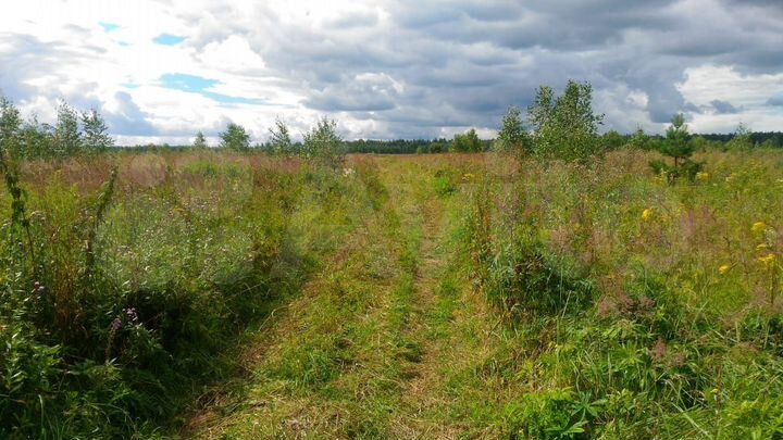 Участок 50 га (СНТ, ДНП)