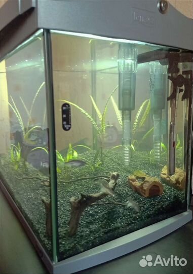 Аквариум Tetra Aqua Art 60 литров