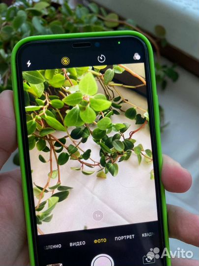 iPhone X, 256 ГБ