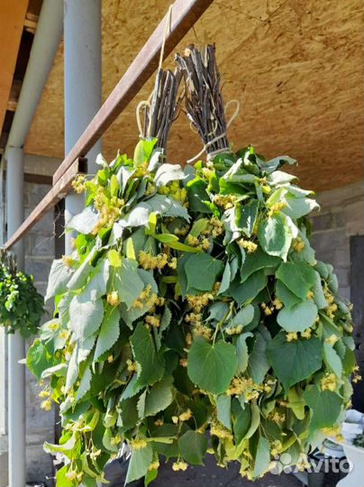 Веники для бани липовые