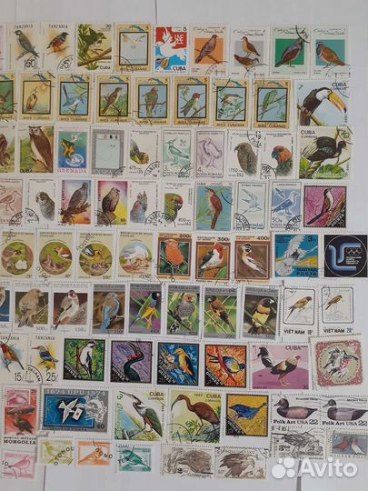 Марки иностранные птицы