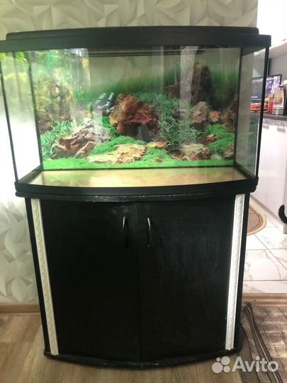 Аквариум с тумбой 100л б/у