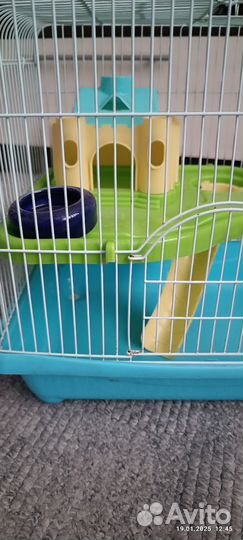 Клетка для грызунов бу