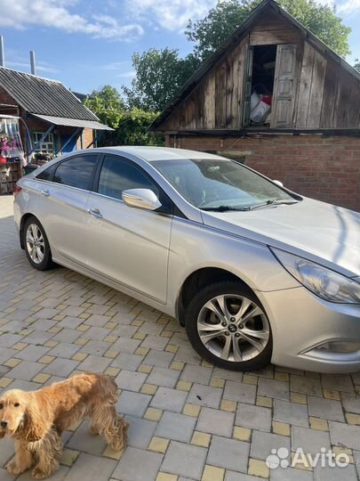 Hyundai Sonata 2.0 AT, 2011, 220 000 км