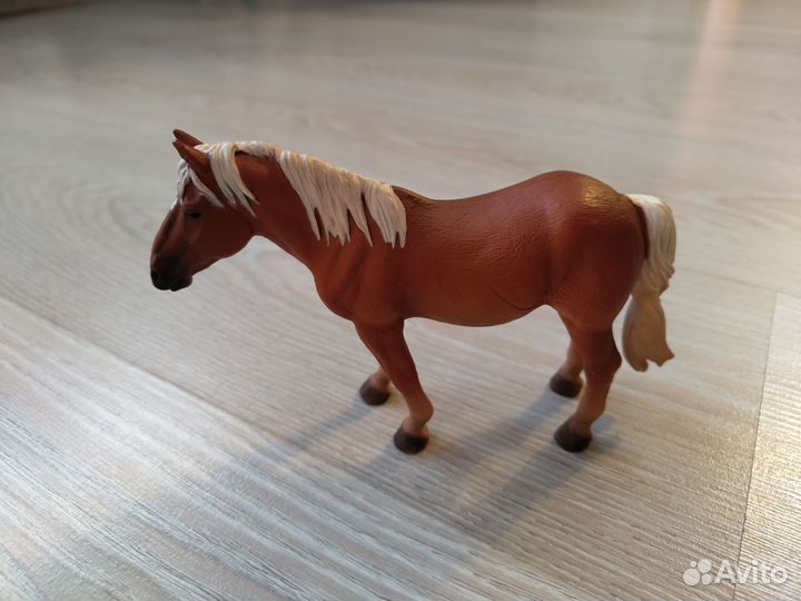 Лошадь collecta кобыла