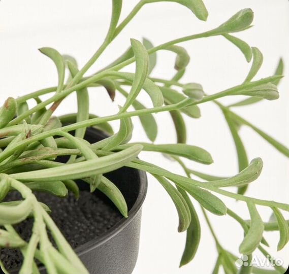 Искусcтвенный цветок Икея IKEA