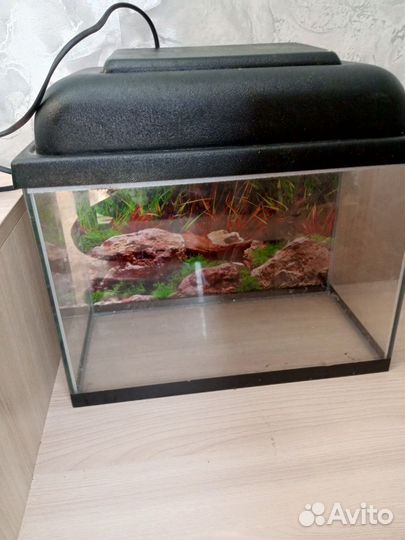 Аквариум