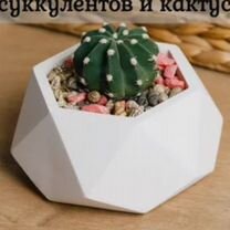 Кашпо