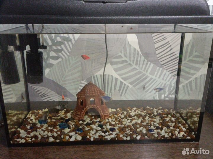 Аквариум