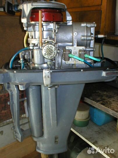 Продам южанку