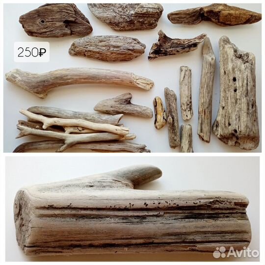 Дрифтвуд для Елены