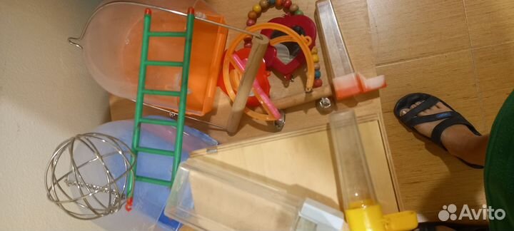 Гнездо для попугаев