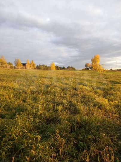 Участок 14,5 сот. (ИЖС)