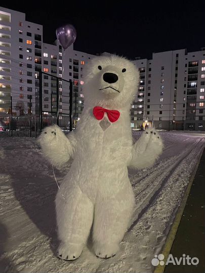 Белый медведь поздравления