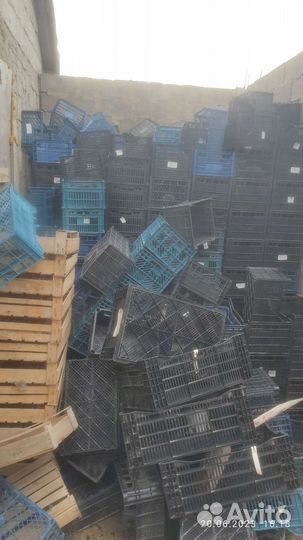 Пластиковые ящики для овощей и фруктов