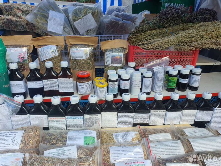 Лекарственные травы