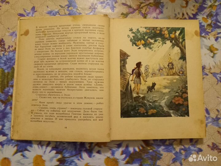 Волшебник изумрудного города.Волков