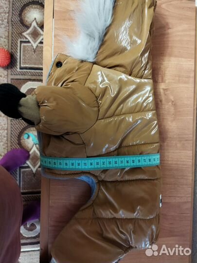 Одежда для маленькой собачки