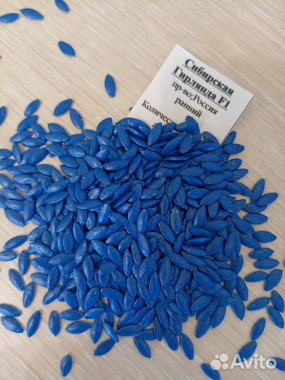 Семена высокоурожайного огурца Гирлянда F1