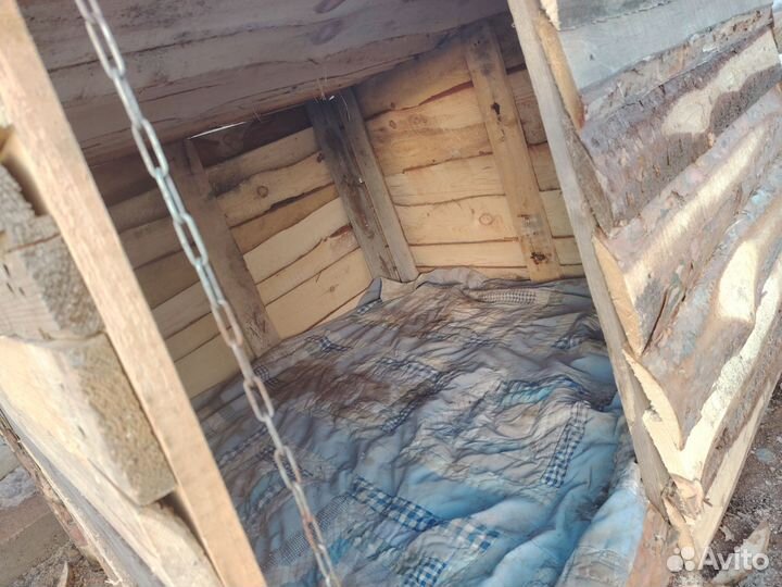 Будка для большой собаки