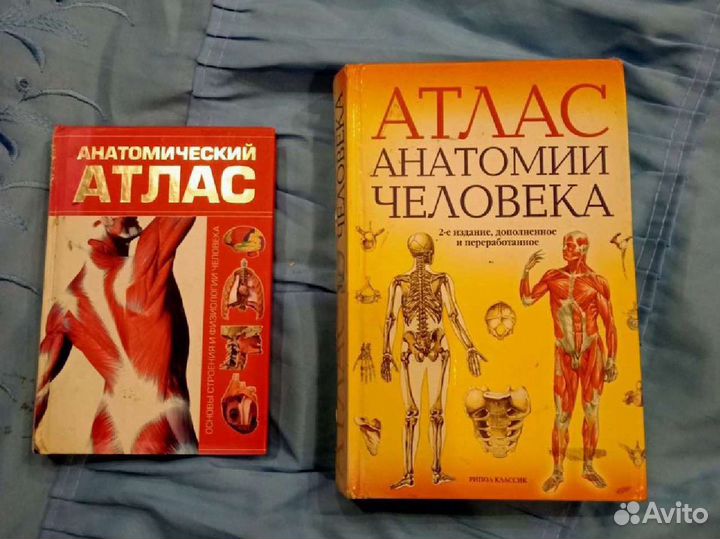 Атлас анатомии человека 2 книги