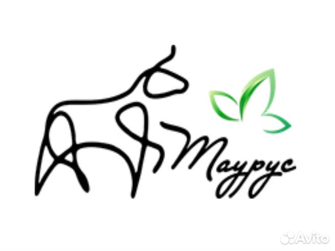 Нач. Произ-ва в цех по изготовлению Лестниц