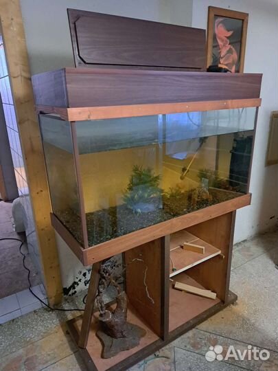 Аквариум