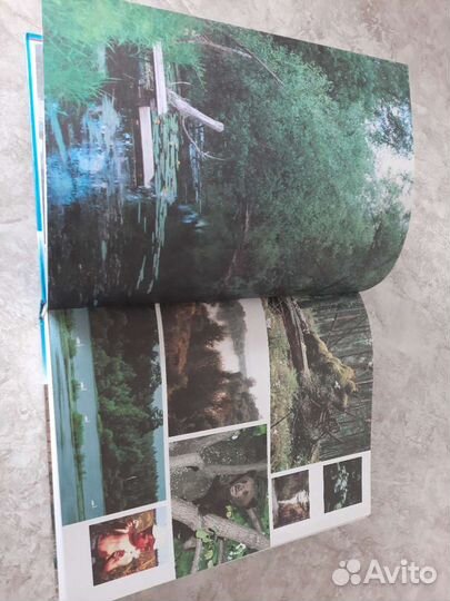 Энциклопедия 