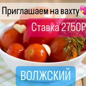 Упаковщик/Высокая ставка/Вахта с питанием